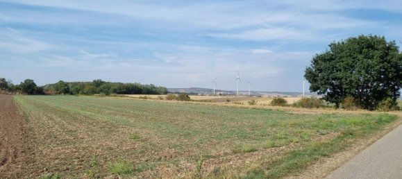  Land in Prellenkirchen, Austria No. 138262 3
