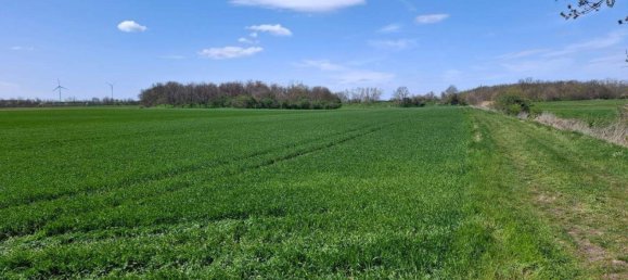  Land in Prellenkirchen, Austria No. 138262 2