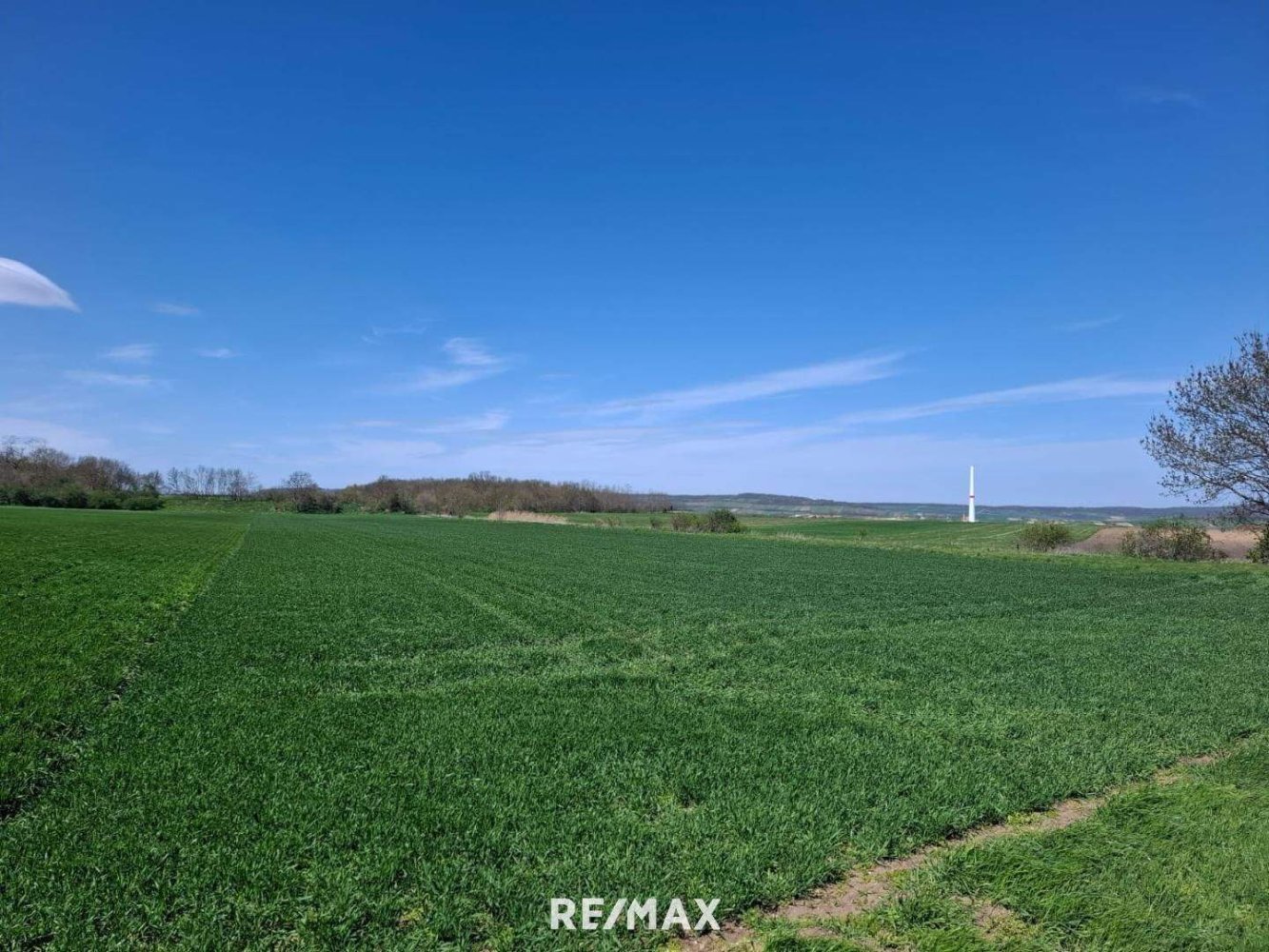  Land in Prellenkirchen, Austria No. 138262