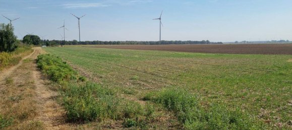  Land in Prellenkirchen, Austria No. 138262 4