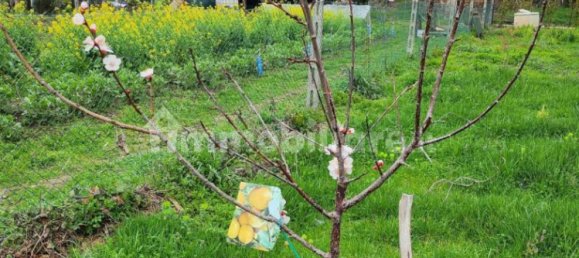 1418m² Land in Passignano sul Trasimeno, Italy No. 348884 2