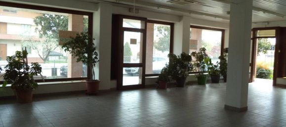 Коммерческая недвижимость с 4 комнатами в Удине, Италия № 126475 39