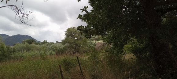 Grundstück in Olevano sul Tusciano, Italy 20000m², Nr. 276851 2