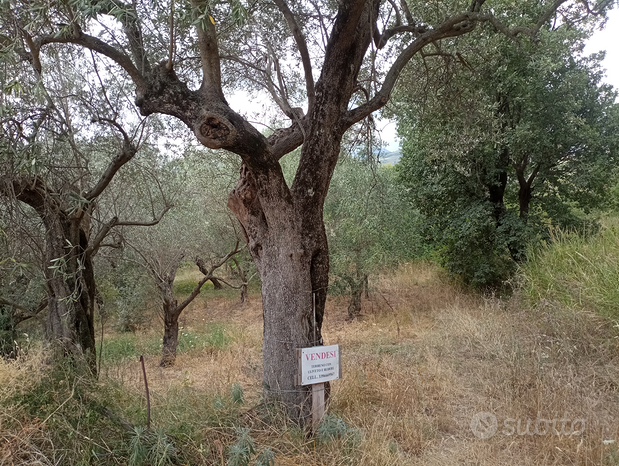 Grundstück in Olevano sul Tusciano, Italy 20000m², Nr. 276851