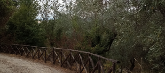 Grundstück in Olevano sul Tusciano, Italy 20000m², Nr. 276851 3