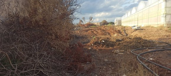 Villa de 2 habitaciónes en Portopalo di Capo Passero, Italy No. 110205 23