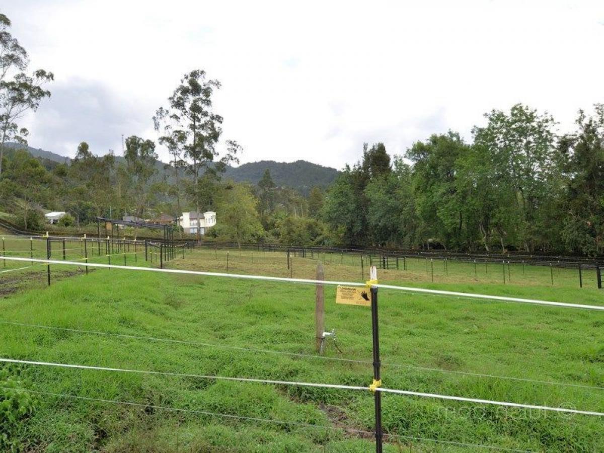  Land in Antioquia, Colombia No. 467