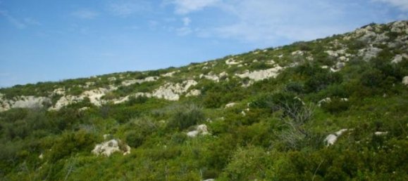 Terra em Zakynthos, Greece N.º 634 5