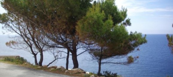 Terra em Zakynthos, Greece N.º 634 4