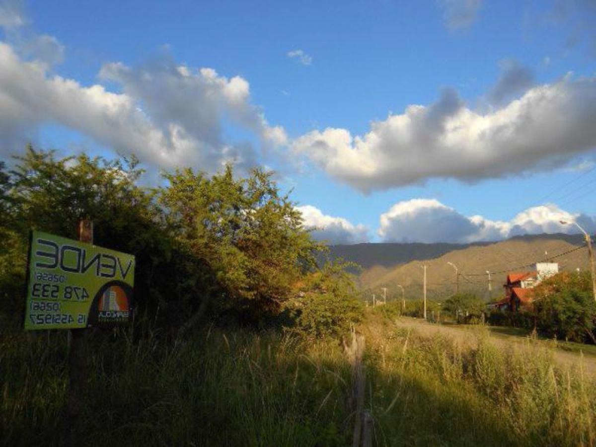  Land in San Luis, Argentina No. 38689