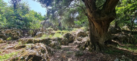 Вилла с 5 комнатами в Маратеа, Италия № 173857 2