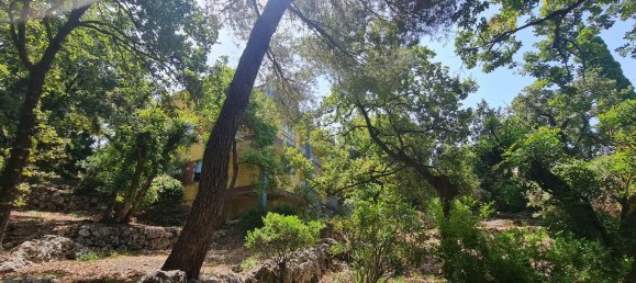 Вилла с 5 комнатами в Маратеа, Италия № 173857 32