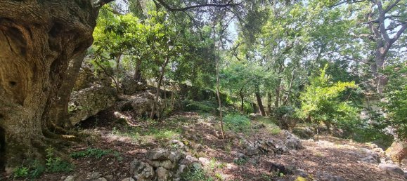 Вилла с 5 комнатами в Маратеа, Италия № 173857 6