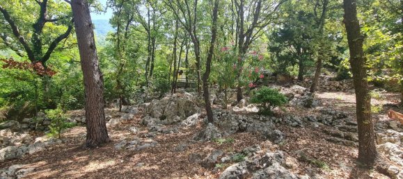 Вилла с 5 комнатами в Маратеа, Италия № 173857 18