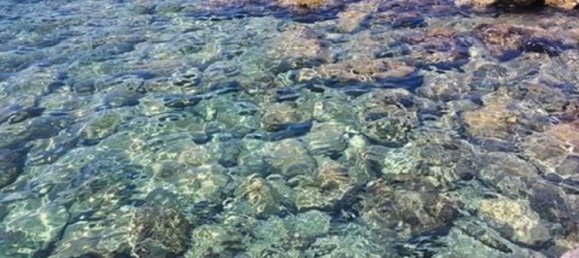 3 bedrooms Apartment in Salve, Italy No. 347349 4