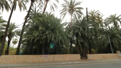 Terreno en Alicante, Spain No. 155240