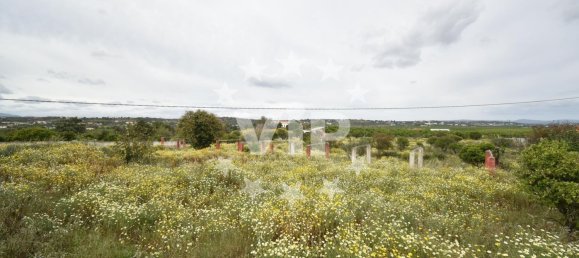 4 bedrooms House in Silves, Portugal No. 157127 31