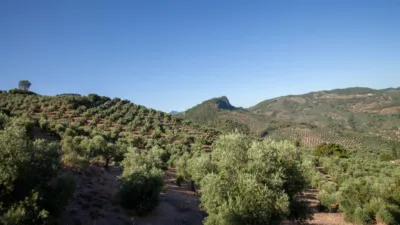 8 Schlafzimmer Haus in Andalusia, Spain, Nr. 208041