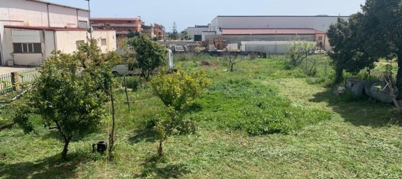 Коммерческая недвижимость с 5 комнатами в Селлия Марина, Италия № 164764 5