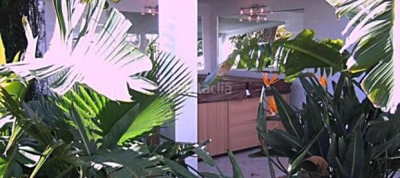 10 bedrooms Villa in Marbella, Spain No. 61806 11