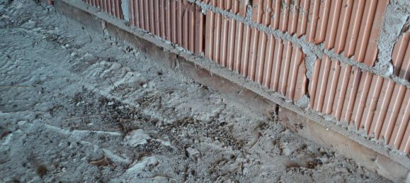 5غرفة منزل في Jolanda di Savoia, Italy رقم 144027 11