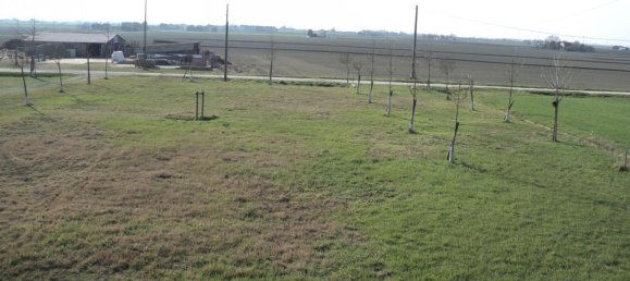 5غرفة منزل في Jolanda di Savoia, Italy رقم 144027 33