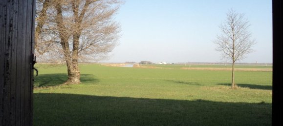 5غرفة منزل في Jolanda di Savoia, Italy رقم 144027 22