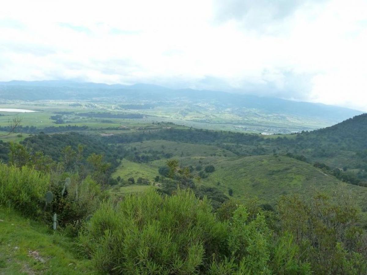  Land in San Buenaventura, Mexico No. 202661