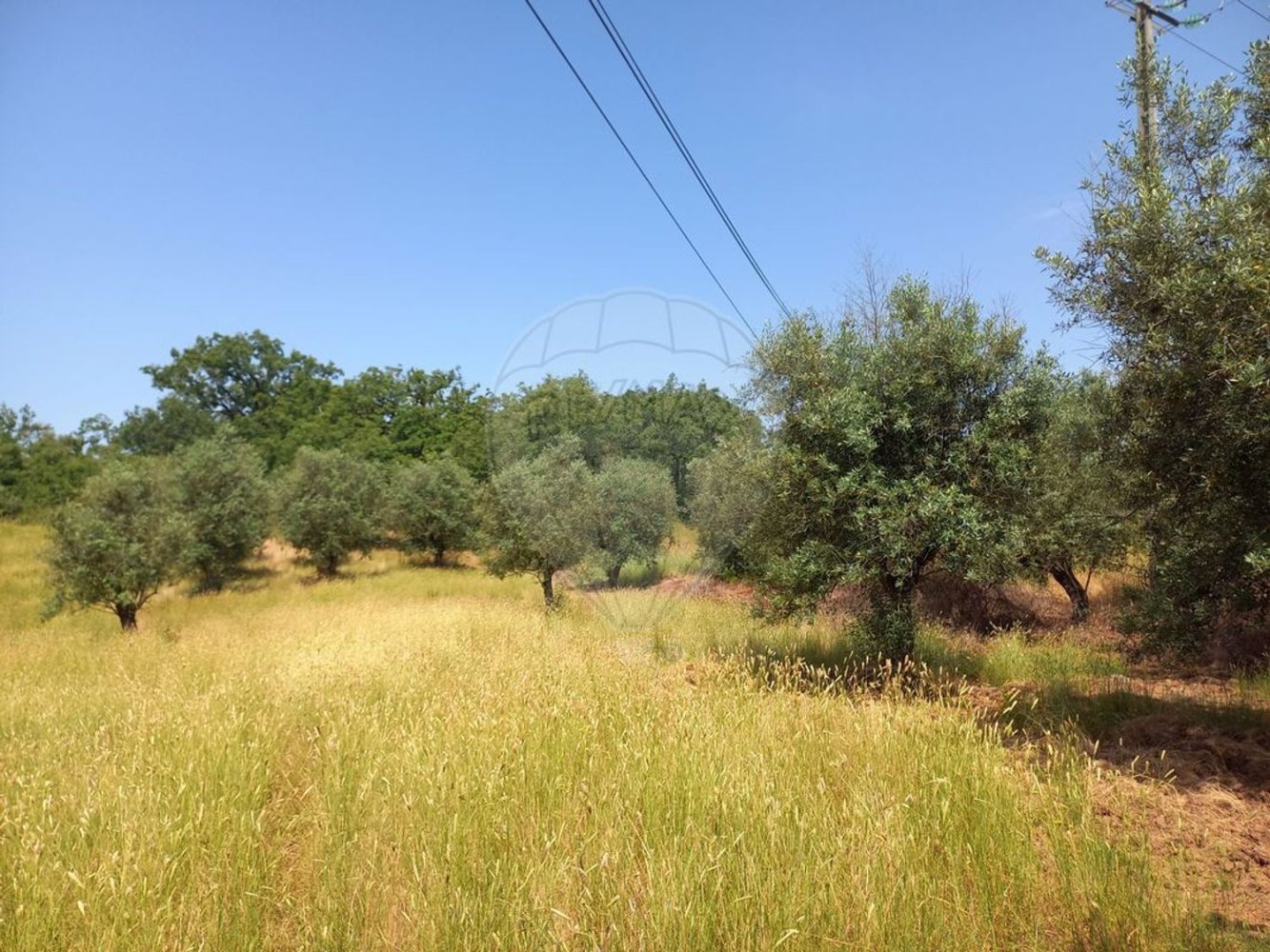 Terreno en Ferreira do Zezere, Portugal 6000 m² No. 91077