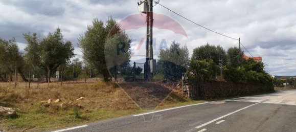 Terreno en Ferreira do Zezere, Portugal 6000 m² No. 91077 4
