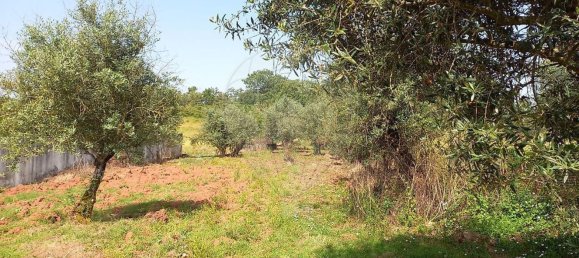 Terreno en Ferreira do Zezere, Portugal 6000 m² No. 91077 9