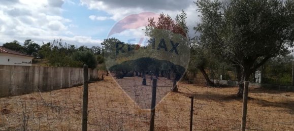 Terreno en Ferreira do Zezere, Portugal 6000 m² No. 91077 5