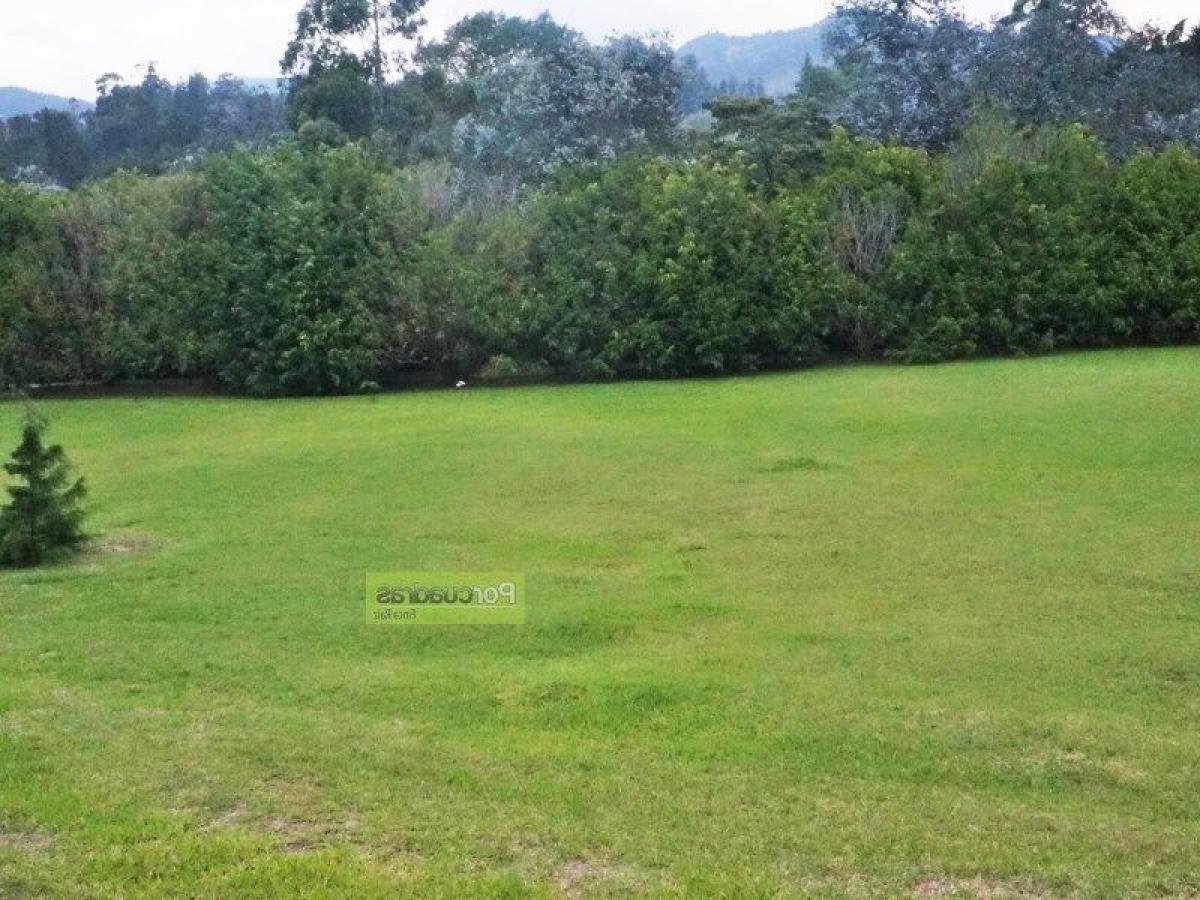  Land in Antioquia, Colombia No. 269