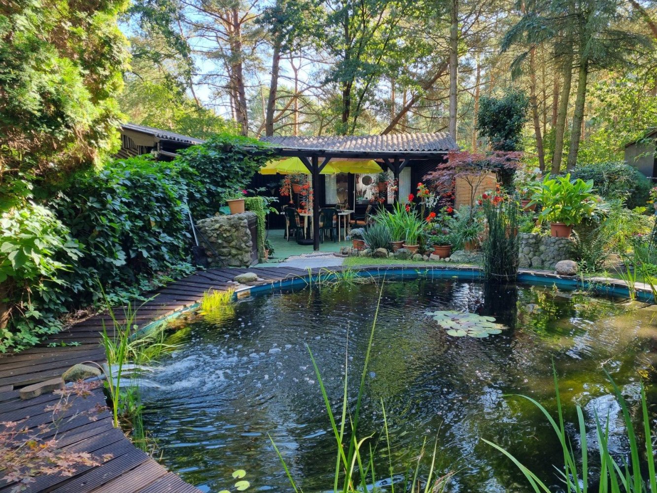  Land in Dahme-Spreewald, Germany No. 67359