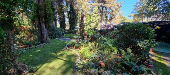  Land in Dahme-Spreewald, Germany No. 67359 13