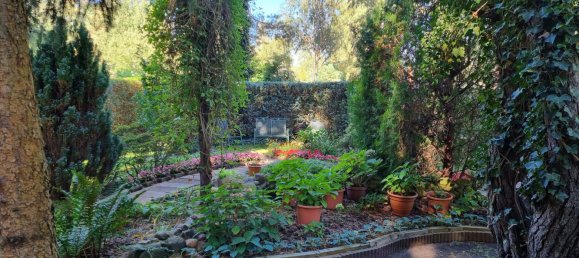  Land in Dahme-Spreewald, Germany No. 67359 6