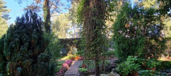  Land in Dahme-Spreewald, Germany No. 67359 8