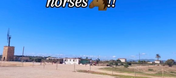 6 Schlafzimmer Haus in Palma de Majorca, Spain, Nr. 180353 35