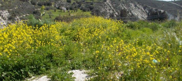 2 غرف نوم فندق في Larnaca, Cyprus رقم 6052 11