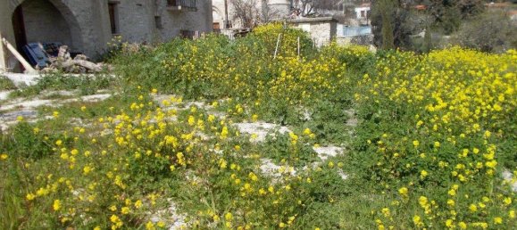 2 غرف نوم فندق في Larnaca, Cyprus رقم 6052 14