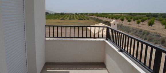 5 bedrooms Villa in Pinoso, Spain No. 10248 18