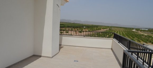 5 bedrooms Villa in Pinoso, Spain No. 10248 21