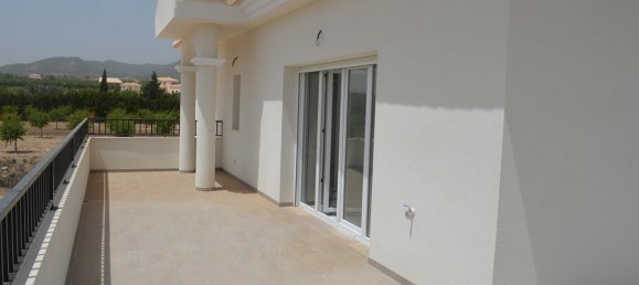 5 bedrooms Villa in Pinoso, Spain No. 10248 14