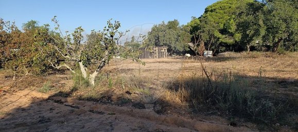 Земельный участок 6610м² в Лагоа, Португалия № 41014 4