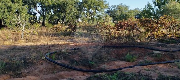 Земельный участок 6610м² в Лагоа, Португалия № 41014 3