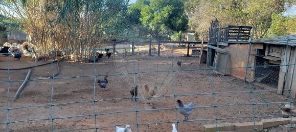 Земельный участок 6610м² в Лагоа, Португалия № 41014 6