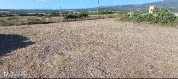 Studio in Cuglieri, Italy No. 256182 11