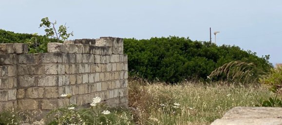 Studio in Cuglieri, Italy No. 256182 8