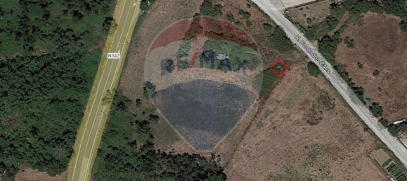 Casa de 1 dormitorio en Alfarelos, Portugal No. 31318 3