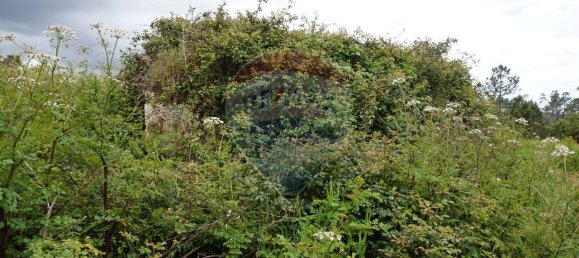 Casa de 1 dormitorio en Alfarelos, Portugal No. 31318 2